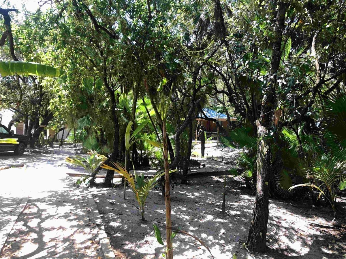 Kin Resort Lodge Maya Beach Dış mekan fotoğraf